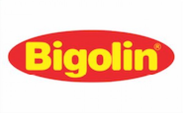 Bigolin